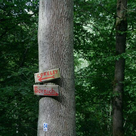 Ferienwohnung Baehr Bornich Zewnętrze zdjęcie